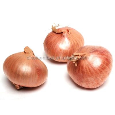 China Fresh yellow onion price ton on fresh red onions for sale by onion vendors for sale