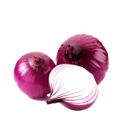 China Fresh Fresh Red Shallot Yellow Onion Peeled White Onion Seeds Chinese Onion Price China for sale