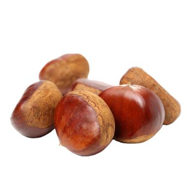 China 2021 Dandong and Shandong fresh chestnut cultivation sweet chestnut for sale for sale