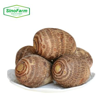 China New low fat Chinese fresh vegetable low fat taro factory supply China cultivation taro root for wholesale for sale