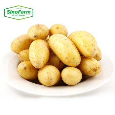 China 2021 new crop fresh chinese holland fresh potatoes for sale with cheap price for sale