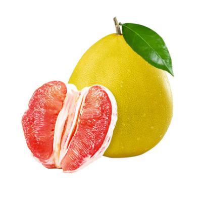 China Vitanmin fresh grapefruit candy fruits grapefruit for wholesale red grapefruit for sale from China cheap price for sale