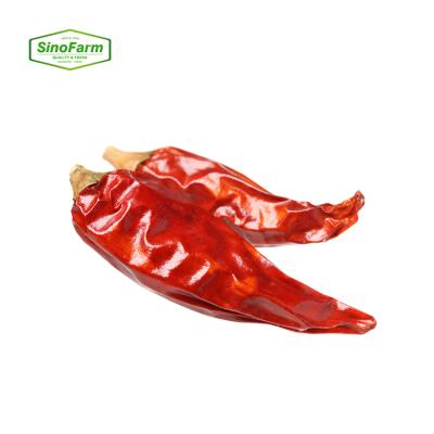 China Chilli in bulk dry dried red chillies for sale