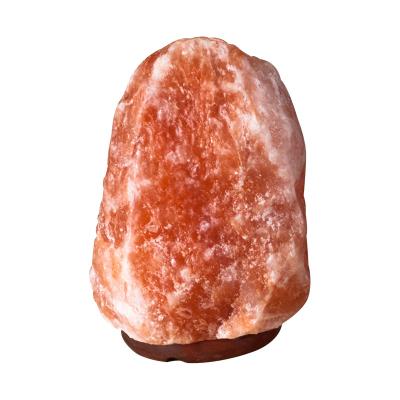 China Provides Natural Himalayan Salt Negative Lamp Manufacturer Release Ions Accept OEM Pink Salt Lamp for sale