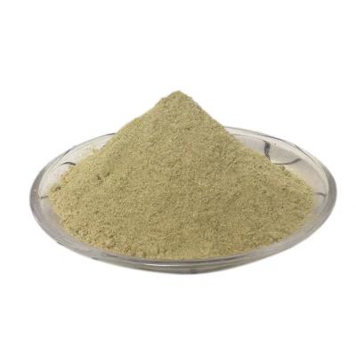 China Scallion Chicken Seasoning Powder Elevate Your Cooking Game for sale