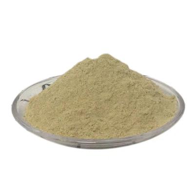 China Grill Seasoning Powder for Deliciously Seasoned Meats for sale