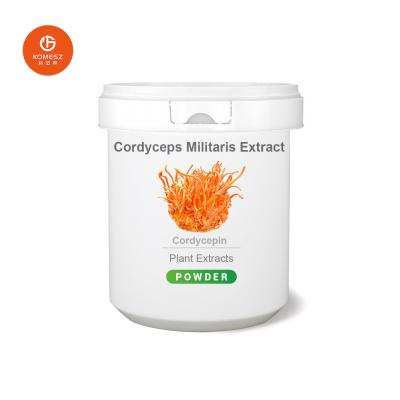 China High Quality Cordyceps CS-4 / Cordyceps Militaris Extract / Cordyceps Sinensis Extract Powder for sale