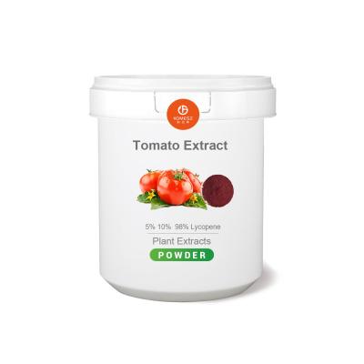 China Natural Tomato Extract Powder Tomato Extract 5% 10%  98% Lycopene for sale