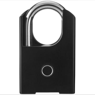 China High Quality Wide Use Smart Lock Fingerprint Zinc Alloy Key Locks for sale