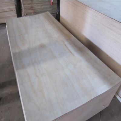 China Factory price 10ft pine timber cambodia plywood indoor wood for furniture for sale