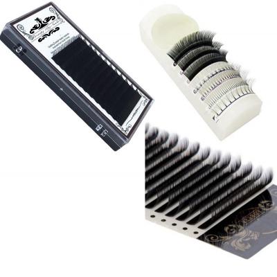 China Hot Selling Silk Crisscross Eyelash Extension Eyelash Extension for sale