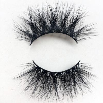 China La naturelle Charme, false eyelashes manufacturer, eyelash extension eyelash glue for sale