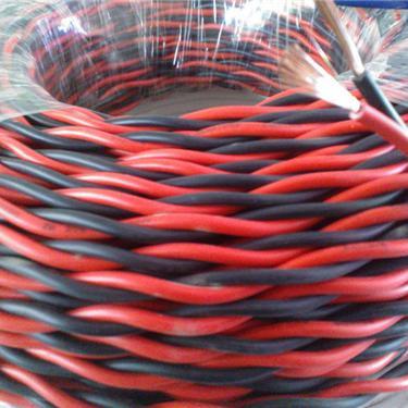 China House Applians 300/500V RVS Twisted Cable 2 Core 0.75MM 1.0MM 1.5MM 2.5MM Flexible Twisted Bare Copper Wire 4MM for sale