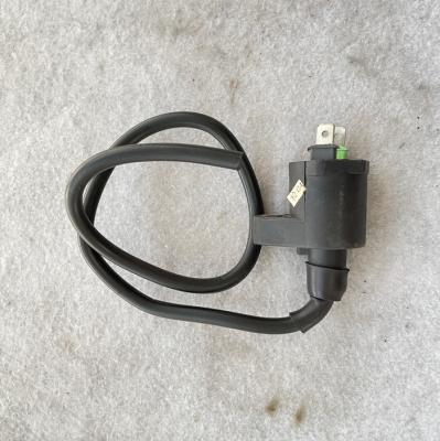 China Parts PGT 103 HT Exter Ignition Coil HAB Motorcycle Coil Ignition Bobina Aprilia Scarabeo 50 30032-ELT-P for sale