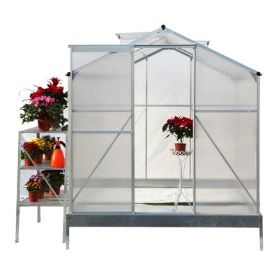 China Large Easily Assembled Outdoors Grow Garden Greenhouse Tent PE Cover Flower Greenhouse Vegetable Walk for sale