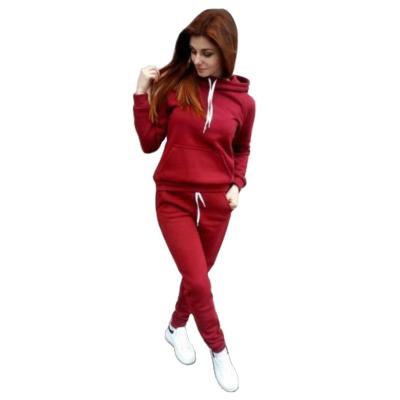 China Seefoun OEM Anti-Static Solid Tracksuit Women Casual Hoodies Sweatshirt Set Lounge Wear Sport Suit Women Sweatshirt and Sweatpants Hoodie for sale