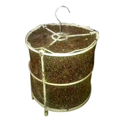 China 2020 New Product Disposable Fly Mosquito Glue Trap Disposable Hanging Fly Trap for sale