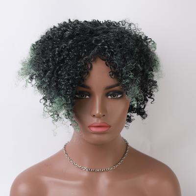 China Afro Wave Curls Style Women Wigs African Hair (JF-10) High Quality Afro Hair Wet Wig for sale