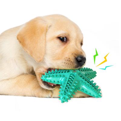 China Hot Sale Viable Eco-Friendly Indestructible Dog Molar Safe Teeth Cleaning Interactive Durable Starfish Shape Toothbrush Chew Toys for sale