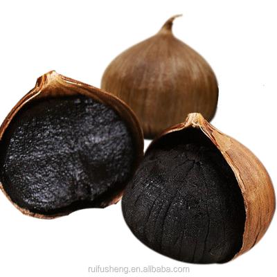 China Ajo Fresh High Quality Negro Single Black Clove Garlic for sale