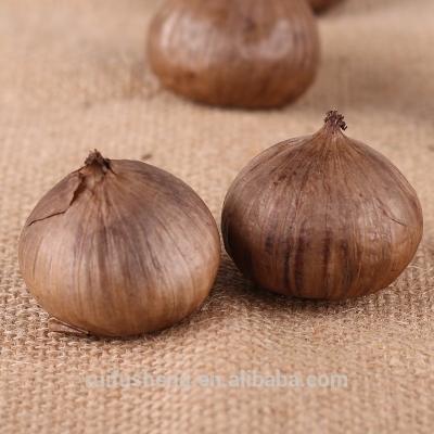 China Dry High Quality OEM Fermented Black Garlic for sale