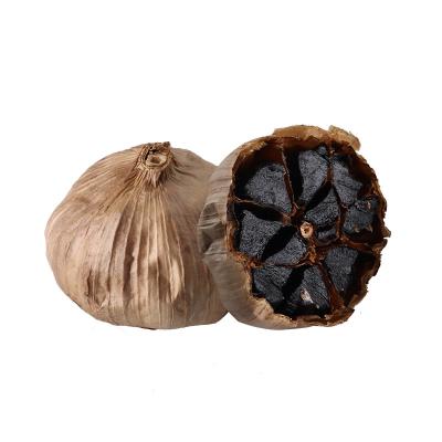 China Dried high in antioxidants export fermented black garlic for sale