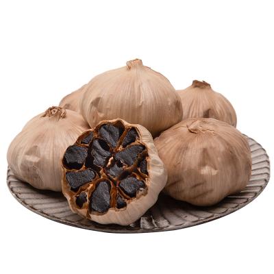 China Wholesale High Quality Multi Cloves Dry Black Garlic Garlic for sale