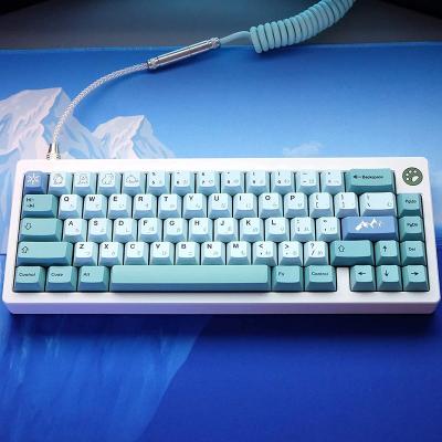 China Cherry Profile Computer Keyboard PBT Keycap 142 Key Dye Sublimation ANSI Layout Keycap For Mechanical Gaming Keyboard Gateron Kailh Cherry MX for sale