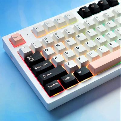 China Computer Keyboard PBT Cherry Profile Shot Dual 173 Keys ANSI Standard Keycaps and ISO Layout Keycaps for Mechanical Gaming Keyboard Cherry MX Switches for sale