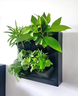 China Hot Sales Minimalist Self Watering Wall Mounted Planter Indoor Outdoor Decor With 4 Pots Green Wall Indoor for sale