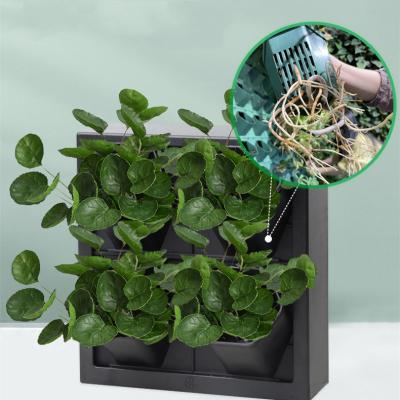 China Warm Minimalist On Amazon Wall Mounted Home Use Vertical Plant System Living Green Wall Self Watering System for sale