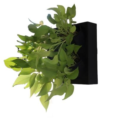 China Minimalist Plant Wall Planter Black ABS+PP Live Planting Box Home Plant Wall Mounted Direct Pots for sale