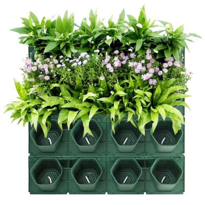 China Artificial Novelty Hourpark Boxwood Landscaping Boxwood Wall Life Hedge System Automatic Automatic Irrigation Indoor Outdoor for sale