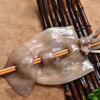 China Top Grade Nutritious Hot Selling Fresh Frozen Whole Squid for sale