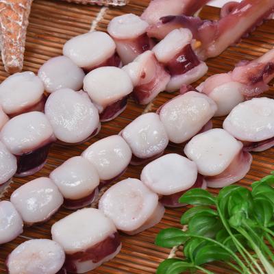 China Natural Fresh Squid Dragon Ball Squid Seafood String High-Nutrition Nutritious Value for sale