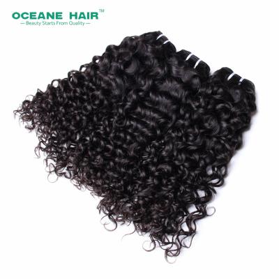 China Afro Curly Curly Clip In Hair Extensions Peruvian Hair Dubai Overnight Shipping Afro Curly Curly Clip In Hair Extensions for sale