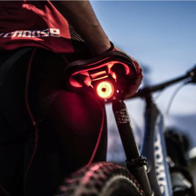 China Alloy+ABS Enlee Aluminum USB Rechargeable Bike Taillight Brake Bicycle Rear Light for mtb road bike for sale