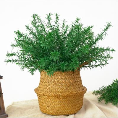 China Fashional Artificial Flowers Artificial Flower Rosemary Green Plant Home Decoration Plastic for sale