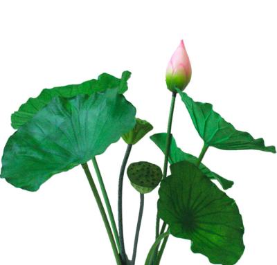 China Fashional Artificial Chinese Lotus Flowers Wholesale High Quality Artificial Plants Lotus Flowers for sale