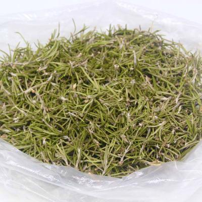 China Skin Revitalizer Wholesales High Quality Natural Rosemary Pure Spice Dried Leaves Rosemary for sale