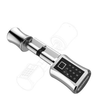 China Fingerprint Wireless Biometric Electronic Locks Password Bluetooth version wifi Combination Smart Door Lock for sale