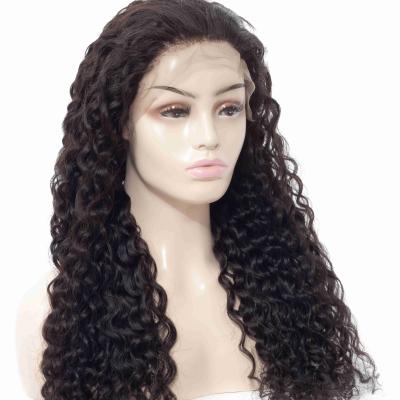 China Hot Selling Raw Indian Remy Human Hair Wigs Vendors HD Lace Front Wigs Transparent Water Wave Water Wave Wigs Factory Price For Women for sale