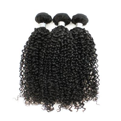 China Water Wave 100% Peruvian Kinky Curly Virgin Hair Extension Bundles for sale