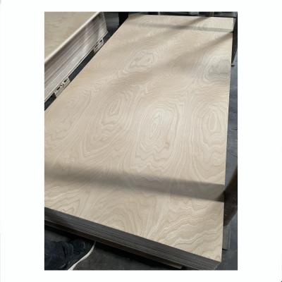 China Traditional Construction Grade Laminated Best Selling UV Natural Birch 4*8 Laminated Plywood Furnichure for sale