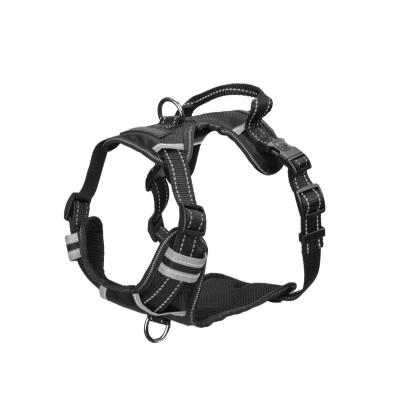 China OEM Padded No Pull Easy Walk Nylon Adjustable Puppy Chest Harness for sale