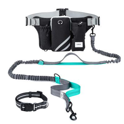 China Hands Free Thoughtful Waterproof Reflective Dog Walking Leash For Running With Waist Bag for sale