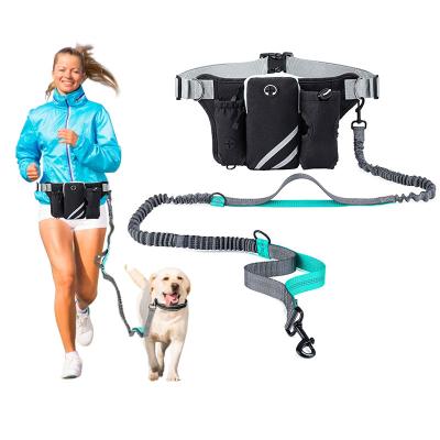 China Thoughtful No Pull Running Hands Free Bungee Dog Leash With Waist Bag for sale