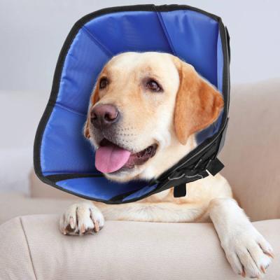 China Padded Pet Recovery E Collar For Dog Cat Soft Comfortable Protective Pet Collar Cone for sale