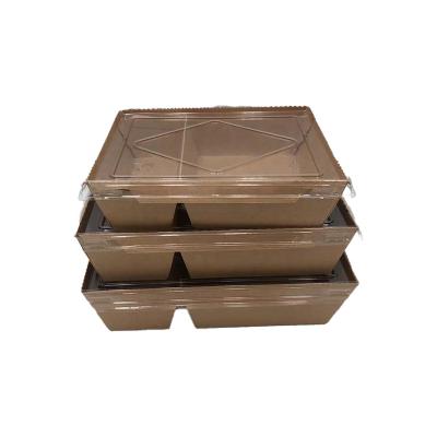 China Wholesale 4 Color Offset Printing 2 Compartments Biodegradable Paper Food Packaging Take Out Box With Anti-fog Lid for sale