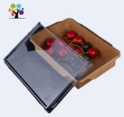 China 2100ml Biodegradable Disposable Microwave Kraft Paper Takeaway Food Box With Transparent Lid for sale